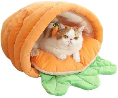 Productafbeelding van Kattennest met maïsvorm - Afneembaar en multifunctioneel