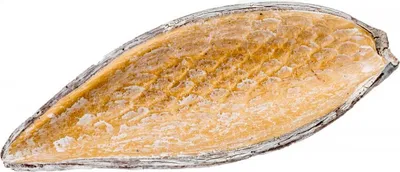 Produktbild von Canoinha frosted