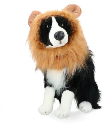 Produktbild von WK Manen Tooi Tieraccessoire Oranje S