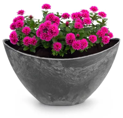 Produktbild von Hohe Pflanzschale oval Vintage schwarz 24 x 14 cm wetterfest