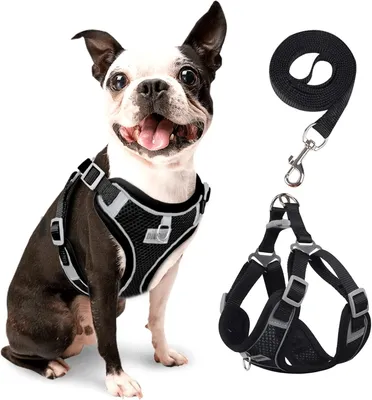 Produktbild von Hundegeschirr Verstellbares Welpengeschirr Reflektierendes für kleine Hunde