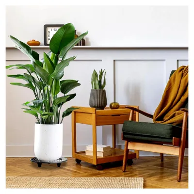 Produktbild von 8 Stück Blumentopfuntersetzer aus Kunststoff, 30 cm Rund, für Innen- und Außenbereich