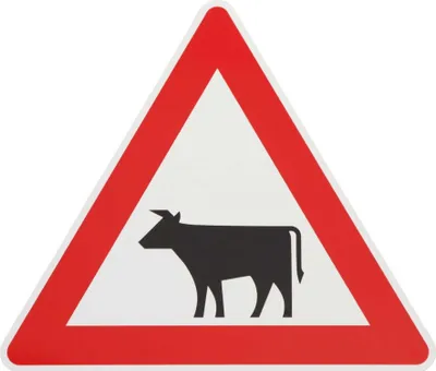 Produktbild von ORIGINAL Verkehrsschild ACHTUNG VIEHTRIEB Nr. 101-12 Fahrtrichtung rechts Verkehrszeichen Schilder RAL Viehschild Kuhschild Warnschild Straßenschild Kuh Vieh Gefahrenzeichen Gefahrenschild