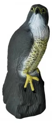 Immagine prodotto di Repest 6240 Repellente per piccioni e uccelli Falcon 40 cm