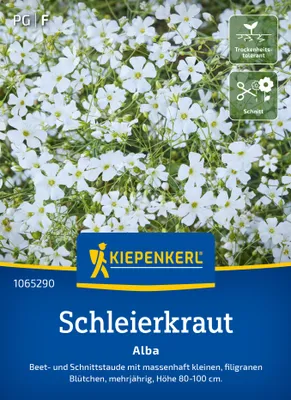 Artikelbild 2 von 'Schleierkraut Alba' aus der Kategorie Schleierkrautsamen