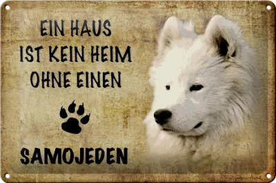Produktbild von Blechschild Spruch 30x20cm Samojeden Hund ohne kein Heim