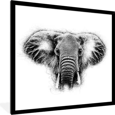 Produktbild von MuchoWow® MuchoWow® Gerahmtes Poster Elefant - Tiere - Schwarz - Weiß 40x40 cm - Poster mit zchwarzem Bilderrahmen - Mit Rahmen - Wanddekoration Schlafzimmer