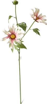 Produktbild von Frühlingsblume 74 cm Kunstblume Flora