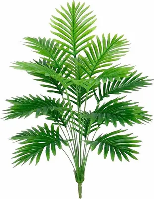 Immagine prodotto di Palme Areca artificiali da 84 cm - Fiori finti, pianta tropicale da interno - Foglie in plastica, 18 steli - Pianta da interno per ufficio, casa, appartamento