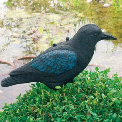 Produktbild von Ubbink Tierfigur Krähe Schwarz 27 cm 1382523
