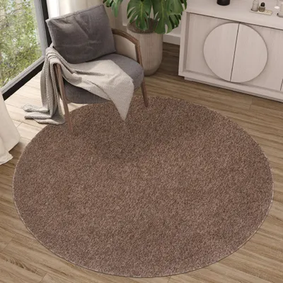 A round brown rug is placed on a wooden floor in a living room setting, next to a chair with a blanket and a plant.