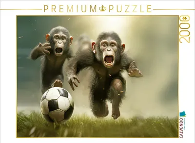 Produktbild von CALVENDO Puzzle Babyaffen im Fussballfieber | 2000 Teile Lege-Größe 90x67cm Foto-Puzzle für glückliche Stunden