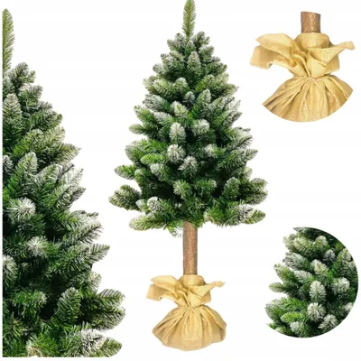 Zdjęcie produktu dla Magiczny, ośnieżony choinka na drewnianej podstawie, odmiana "Diamant", wysokość 180 cm