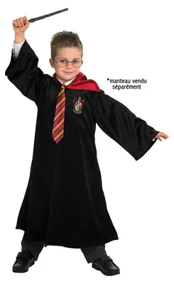 Obrázek produktu pro Příslušenství k Harrymu Potterovi - hůlka, kravata a brýle