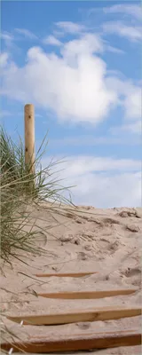 Produktbild von Wallario selbstklebendes Poster - Auf der Holztreppe zum Strand, Größe: 80 x 200 cm