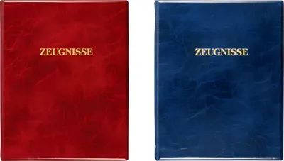 Produktbild von BRUNNEN Zeugnisringbuch A4 5 Hüllen 1065526