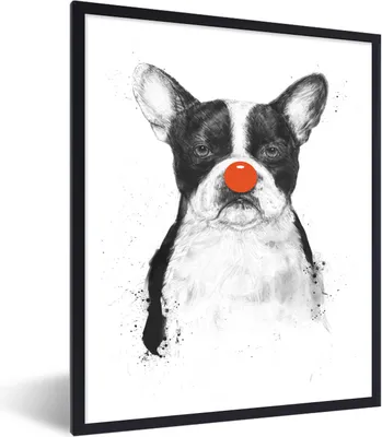 Produktbild von MuchoWow® Gerahmtes Poster Hund - Rot - Nase - Clown 60x80 cm - Poster mit Schwarzem Bilderrahmen Wandposter Rahmen Foto Bilder - Premium - Wanddeko Wohnzimmer