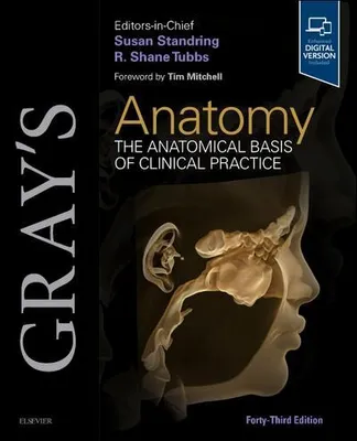 Image de Gray's Anatomy