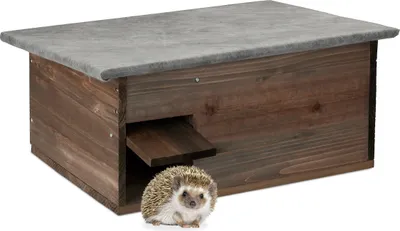 Immagine prodotto di Relaxdays Casetta per ricci, tana per ricci con fondo, sportello per ratti e ingresso a labirinto, legno, casetta per ricci, A x L x P: 20 x 45,5 x 33 cm, marrone