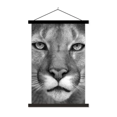 Produktbild von MuchoWow® Textilposter Panther - Wildlife - Schwarz - Weiß 120x180 cm mit schwarzem Rahmen - Fotos