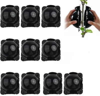Produktbild von Pflanzenspitzen-Set - Pflanzenspitzen-Box - Pflanzenspitzen-Apparat für Pflanzenspitzen und Wurzelspitzen-Training Pflanzen 8cm (Schwarz)