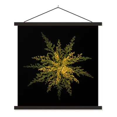 Produktbild von MuchoWow® Textilposter Eine Goldrutenblüte auf schwarzem Hintergrund 60x60 cm mit schwarzem Rahmen - Posteraufhänger