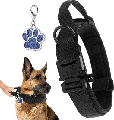 Produktbild von Famanu Hundehalsband mit robustem Kontrollgriff - Verstellbar mit Metallverschluss - für mittelgroße und große Hunde - Breite 3,8 cm - K9 Training
