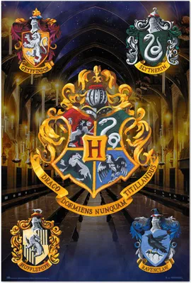 Obrázok produktu pre Plagát Harry Potter Bradavice lúpanie