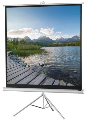 Zdjęcie produktu dla ekran na statywie celexon Economy 1:1, powierzchnia projekcyjna 244 x 244 cm