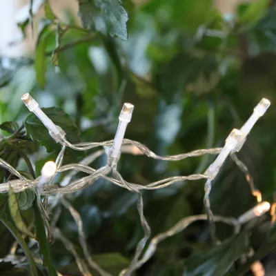 A close-up view of a string of LED lights woven through green foliage.