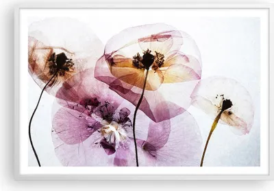 Produktbild von Gerahmtes Poster - Weißer Rahmen - blume sommer natur - 91,5x61 cm - Wand Bild - Wanddeko - Wandbilder - Kunstposter - Wandposter - Bilderrahmen - Bilder - Kunstdruck - Wandbild - P2WAA91x61-3821
