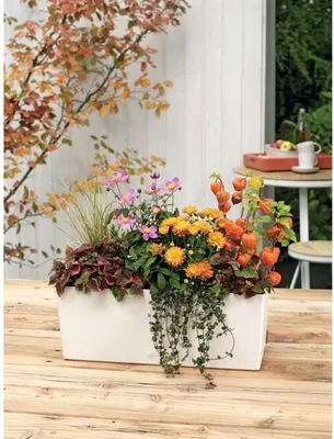 Zdjęcie produktu dla Donica Balkonowa LECHUZA Balconera Color 50 ALL-IN-ONE, Biała, 50 cm
