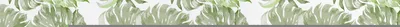 Produktbild von Coloray Fototapete 360x250 cm Vlies-Fototapete - Monstera Blatt Blumenblatt