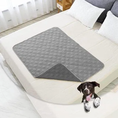 Zdjęcie produktu dla Wodoodporny, miękki koc dla psów – dla dużych i małych psów – szary, 60 x 80 cm