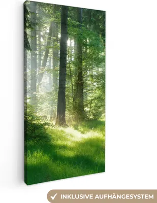 Produktbild von MuchoWow® - Leinwandbilder - Natur - Bäume - Wald - Grün - Sonne - Gras - Pflanzen, Wandbild, Wanddeko Bilder Wohnzimmer, 20x40cm