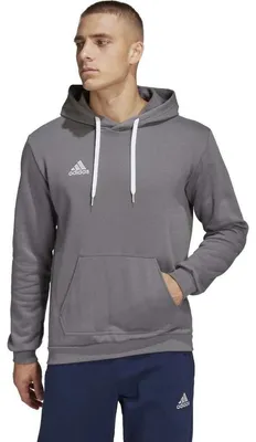 Image de Adidas - Sweat à capuche « Entrada 22 » pour homme PP2776 (S) (gris/argent)