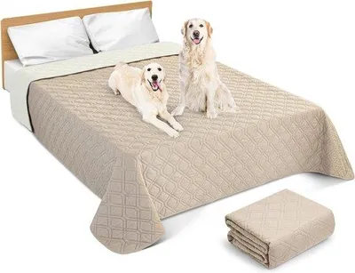 Image de Couverture imperméable pour chiens - douce et lavable - protection pour canapé, lit et voiture - kaki - 97 x 190 cm