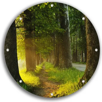 Produktbild von Wallario rundes Outdoor-Poster für Garten oder Balkon, Motiv Allee bei Sonnenuntergang, 30 cm Durchmesser