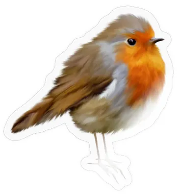 Produktbild von Spreadshirt Rotkehlchen Robin Design Sticker Aufkleber, 10 x 10 cm, Transparent glänzend