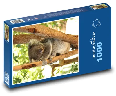 Obrázok produktu pre Puzzle 1000 Medvedík koala na konári - martinpuzzle