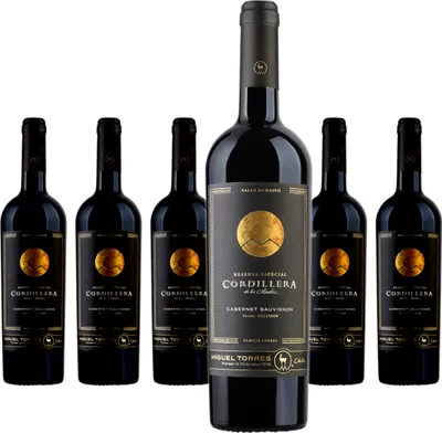 Produktbild von 6 x Miguel Torres Chile Cordillera Cabernet Sauvignon Maipo Valley