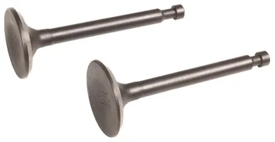 Obrázok produktu pre Ventily motora Loncin cpl. LC50ZB60-4.5Q LC80WB30-4.5Q ORIGINÁLNY DIEL 500550069-0001