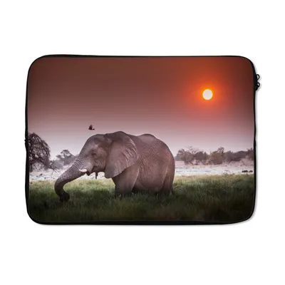 Produktbild von MuchoWow® Laptop Hülle 14 ZollElefant - Gras - Sonne - Tiere Laptoptasche - Laptoptasche - Stoßsicher - Schutzhaube