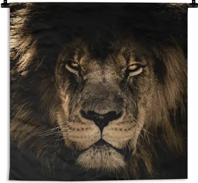 Produktbild von MuchoWow® Wandteppich Wandbehang Löwe - Tiere - Schwarz - Porträt 60x60 cm Tapisserie Dekoration Wandtuch - Dekorationen - Wand Decke