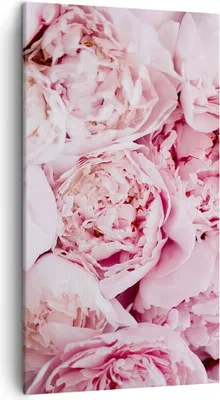 Produktbild von Bild auf Leinwand - Leinwandbild - Einteilig - Blumenstrauß Blumen Rosa - 45x80cm - Wand Bild - Wanddeko - Wandbilder - Leinwanddruck - Bilder - Wanddekoration - Leinwand bilder - PA45x80-5001
