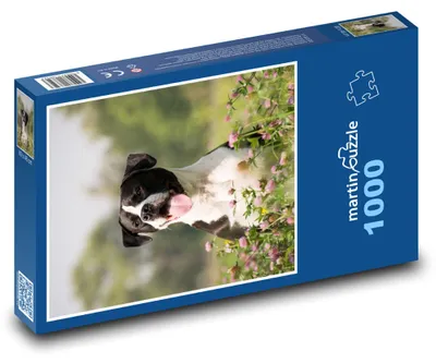 Produktbild von Puzzle 1000 Hund auf blühender Wiese - martinpuzzle