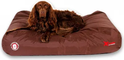 A brown dog lying on a brown dog bed.