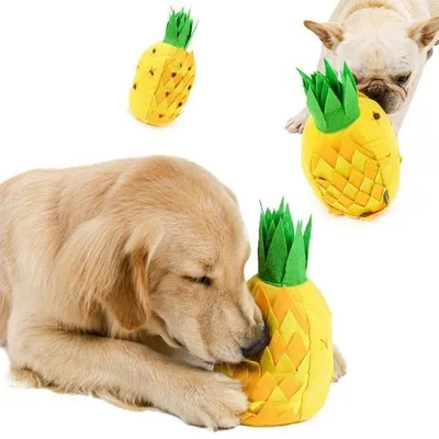 Obrázek produktu pro Ananas čichová hračka