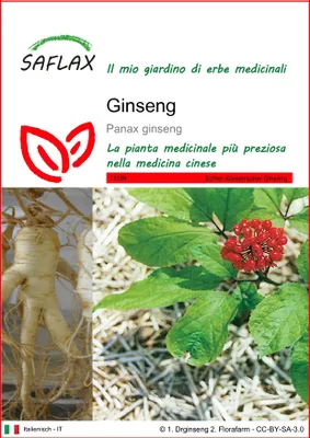 Immagine prodotto di SAFLAX  - Ginseng - 10 semi - Panax