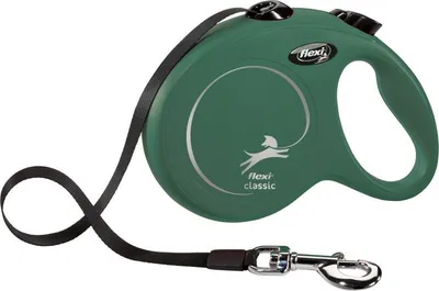 Image de flexi New Classic avec sangle vert, taille : M